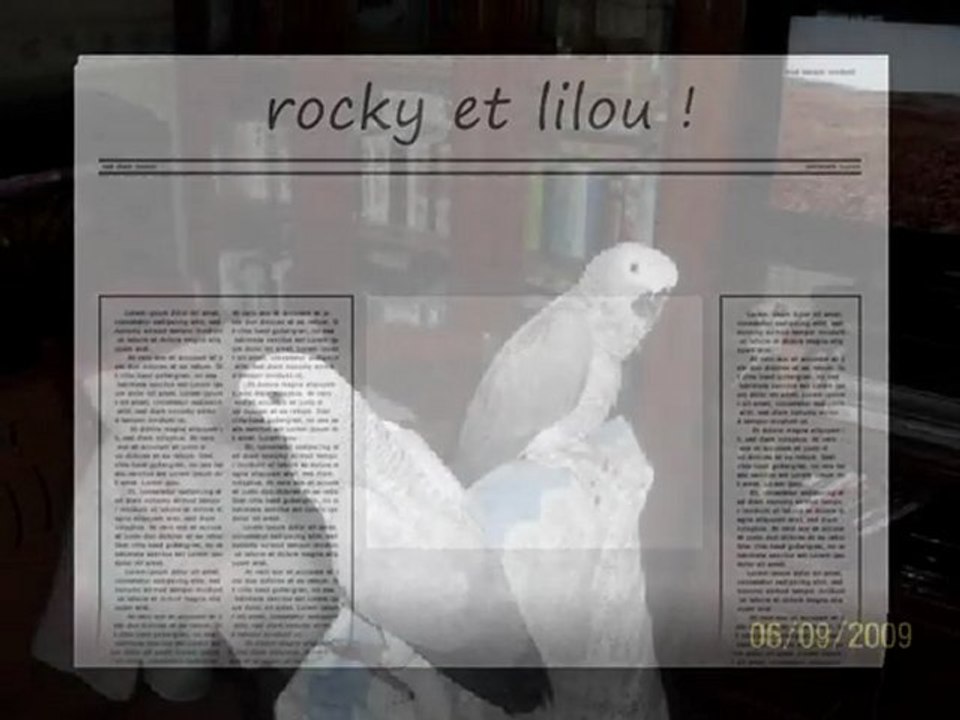 rocky lilou