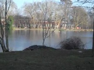 PRESQU'ILE AUX FLEURS Enghien les bains 95880.wmv