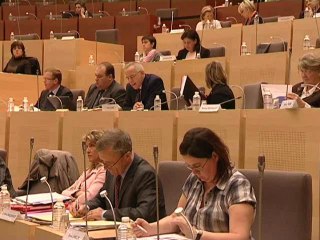 loi marleix vers la fin des conseillers géneraux, regionaux