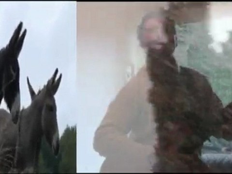 Le petit cheval (Paul Fort Brassens) Ange Adamo