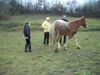 Upsalin joue avec Luna