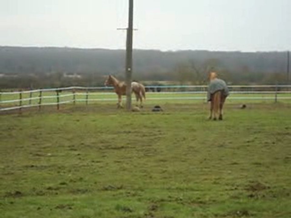 Rencontre avec Tulipe 1