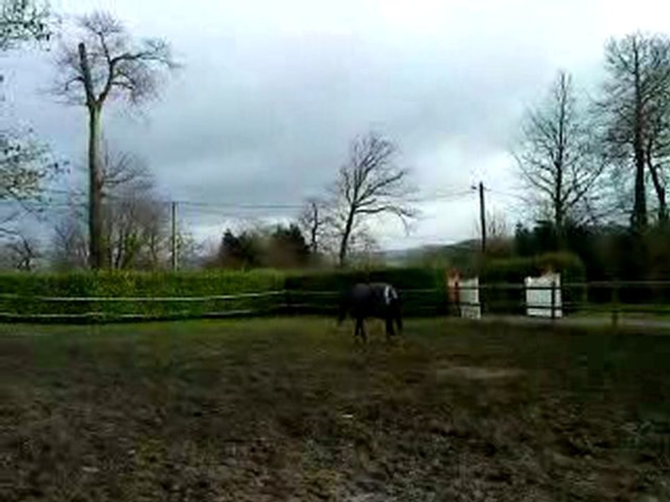 Mermès- paddock- 28/01/10- vidéo 2