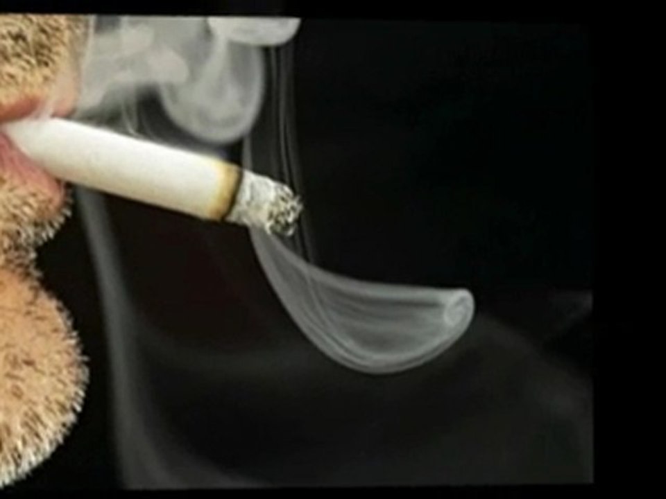 Smokeless Cigarette Information  Free E Cigarette Trial