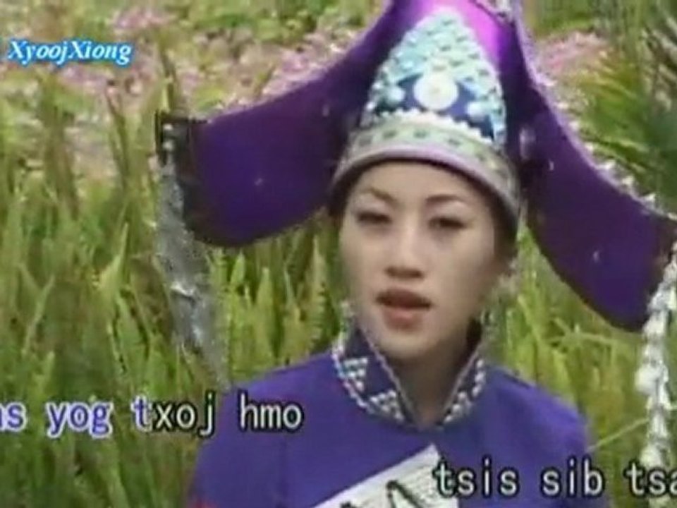 杨梅可以说不能做 Mim Yaj: Ncauj Hais Tau Ua Tsis Tau HMONG MIAO