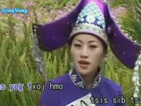 杨梅可以说不能做 Mim Yaj: Ncauj Hais Tau Ua Tsis Tau HMONG MIAO