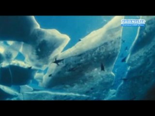 Avant Première du film "Océans" au Gaumont Talence