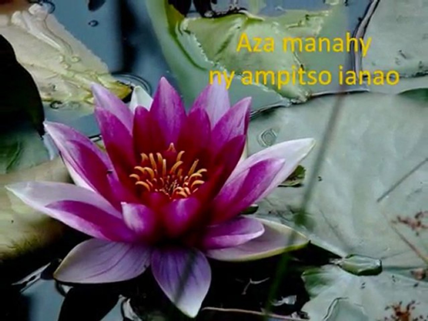 Aza Manahy Fara Andriamamonjy Hq Paroles Video Dailymotion