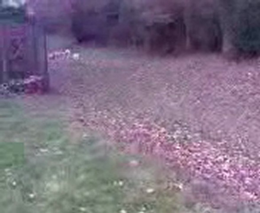 Vidéo007