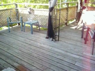 Lunch time for Kissy's little friends