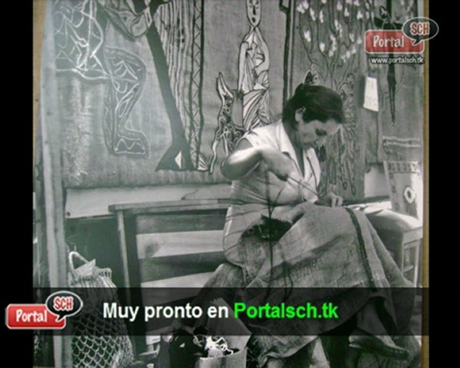 Promo luchadores en www.portalsch.tk