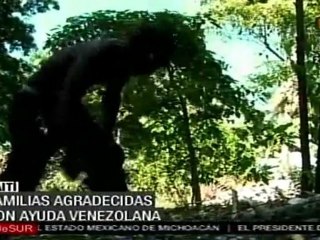 Médicos venezolanos ayudan a sobrevivientes de Haití