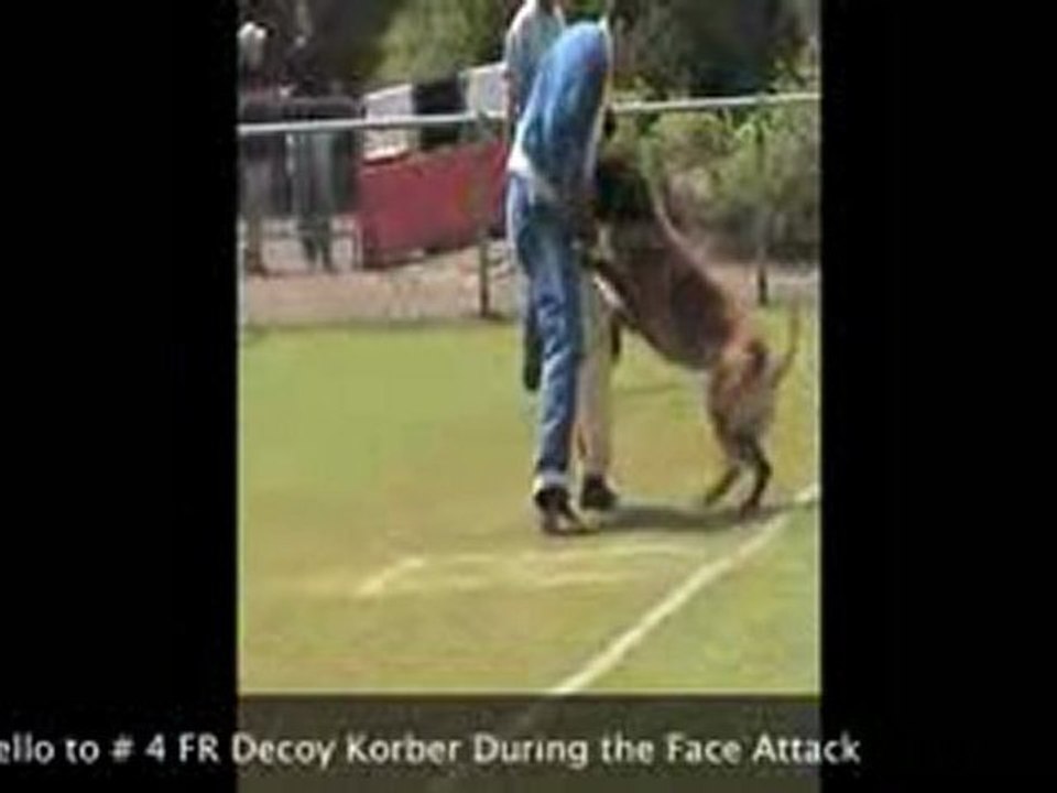 ARF Vulcain 3rd Selecif Group 3