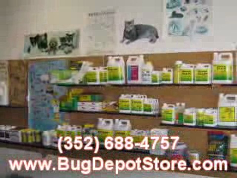 Spring Hill Pest Control Bug Depot Do It Yourself