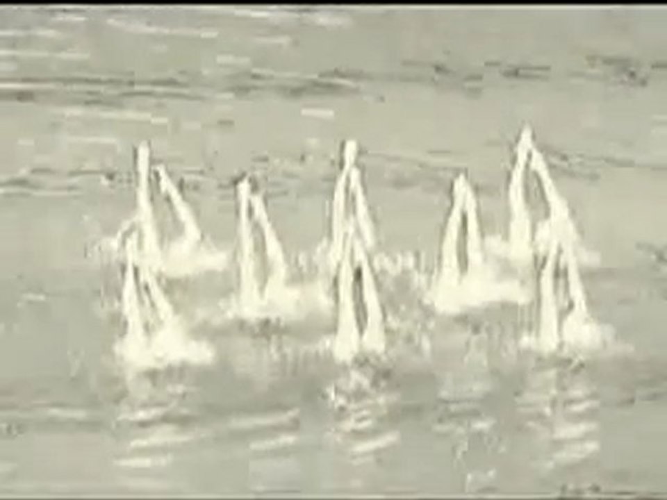 Silvania - Nudo de cielo y delfín