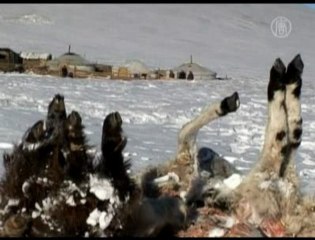 Severe Winter Threatens Mongolians