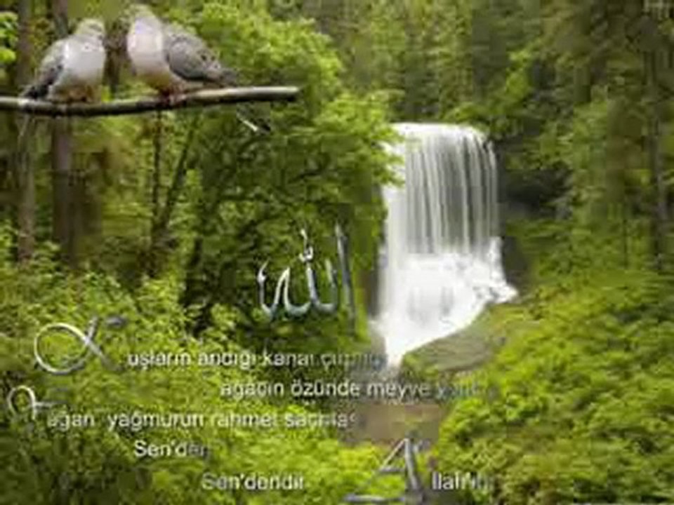 2010 ilahileri. www.ilahi.cc