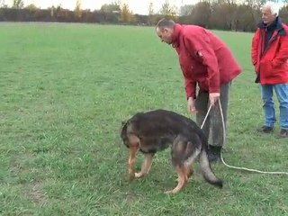 dylan de celius : Ma première piste