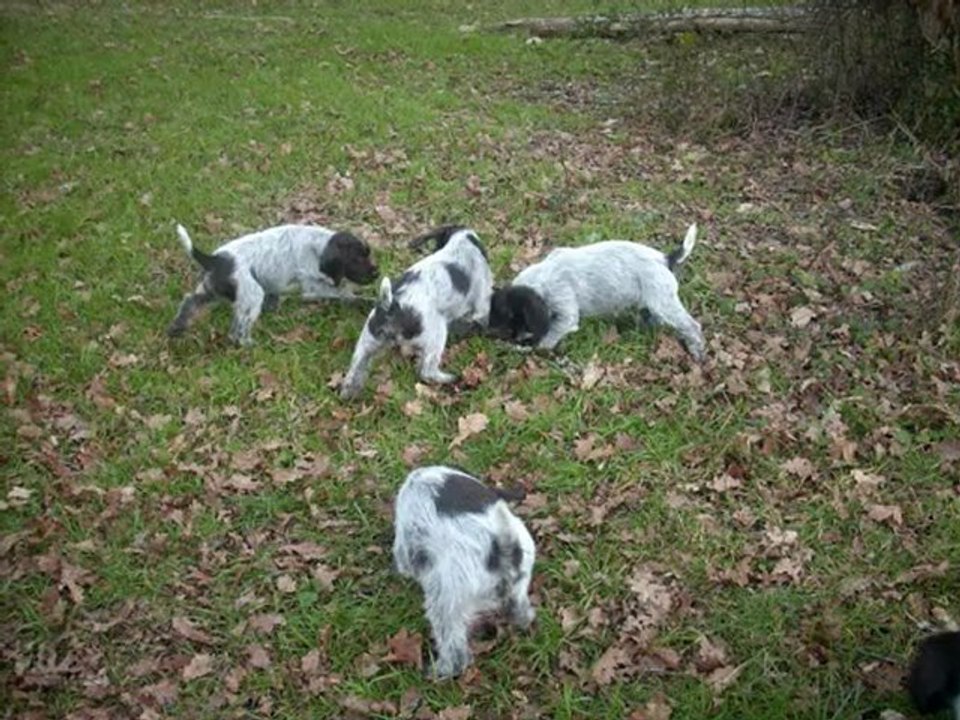 Sortie dans la nature