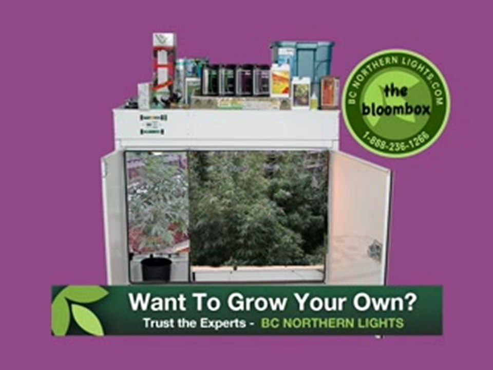 Hydroponic Growing