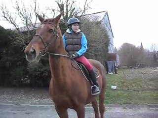 Le trot de kathleen rattrapé par jag ...