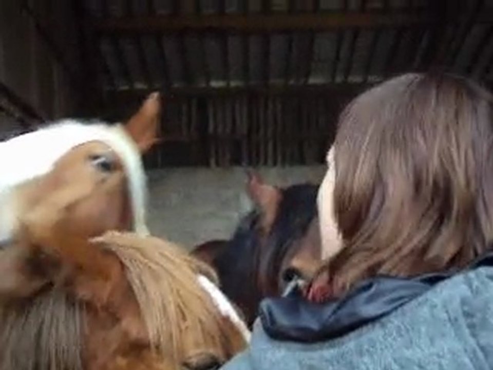 Le sourire avec les Loulouttes