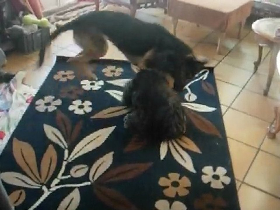 maya et chester