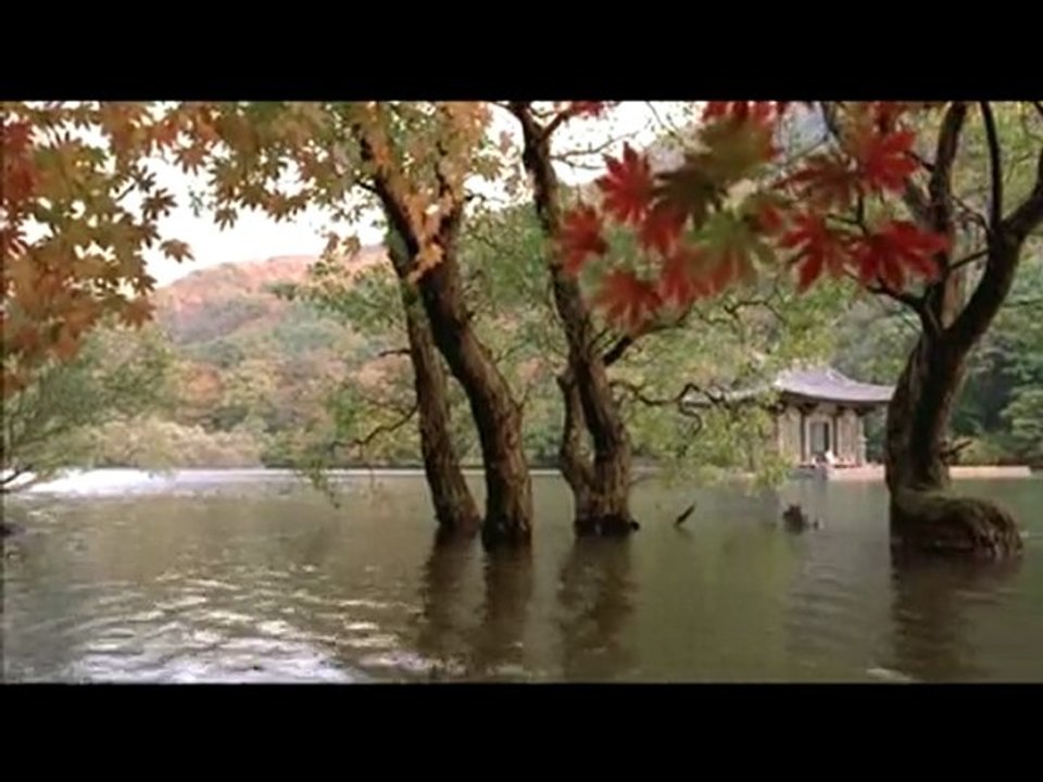 Spring,summer,fall,winter and spring (Blue Stone - Only one)