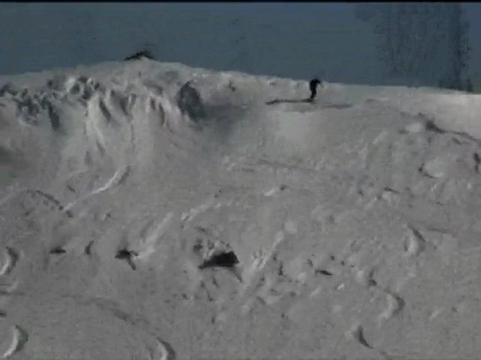 cime de raton