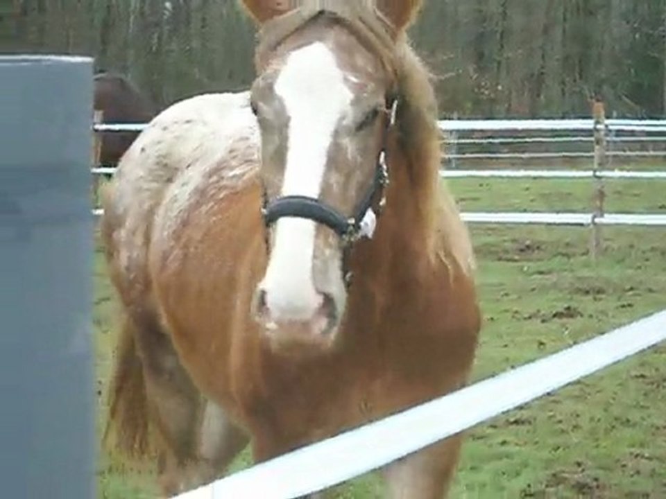 Rencontre avec Tulipe 2