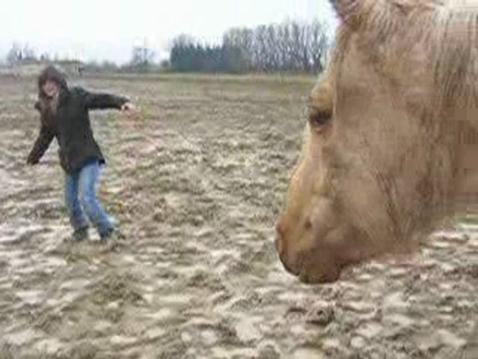 Tiz et Titbidon 2