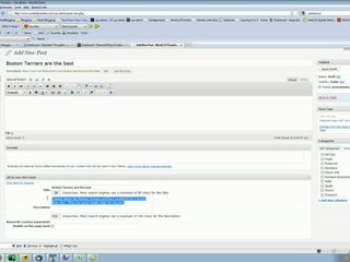 Using All in One SEO Pack for Wordpress