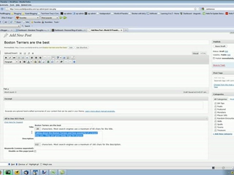 Using All in One SEO Pack for Wordpress