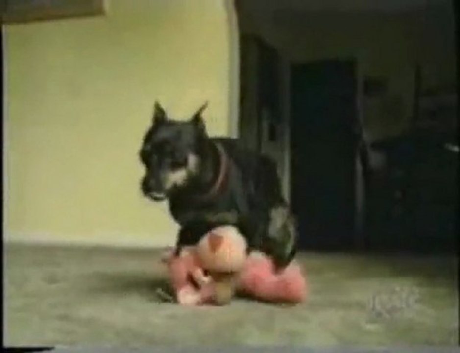 Wild Wild Weed part 1