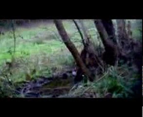 rando moto de janvier, extrait...