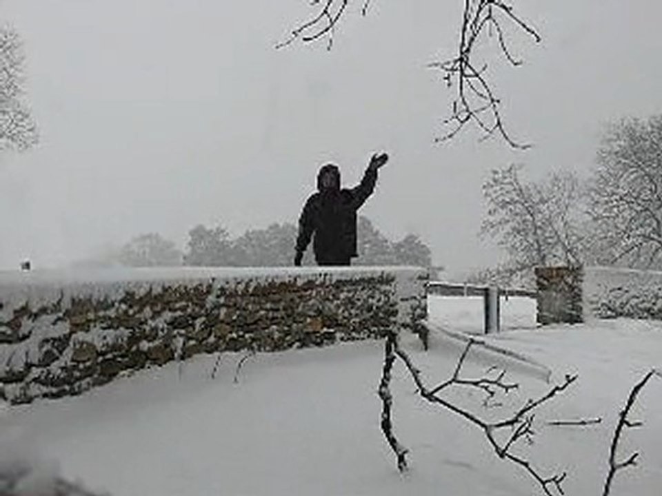Neige Fontaine les Dijon 29 Janvier 2010
