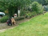 Azur et le frisbee