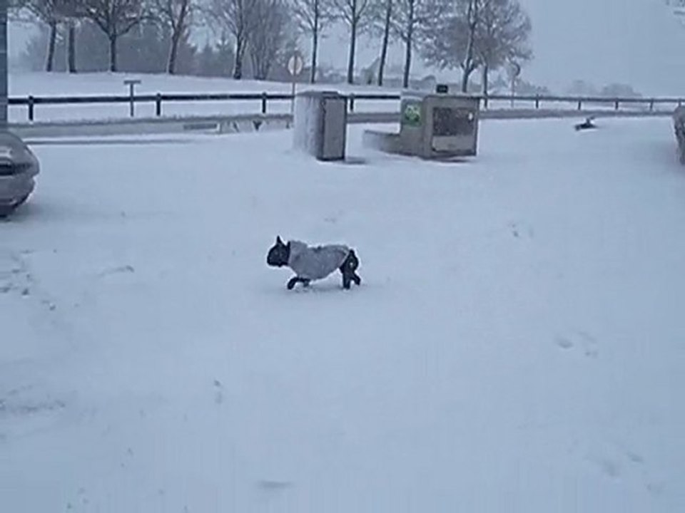 neige sur la route