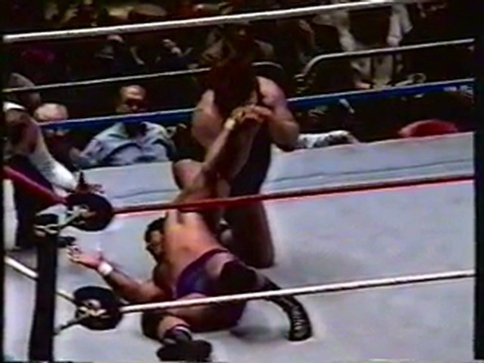 Don Muraco vs. Swede Hansen P2