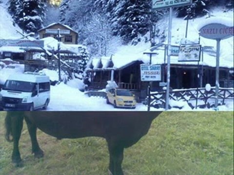 çamlıhemşin ve yaylaları-12 kavrun.tr.gg