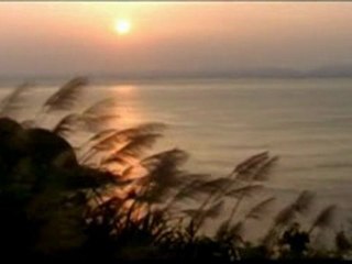 Who I Am [No music] Zain Bhikha 2009