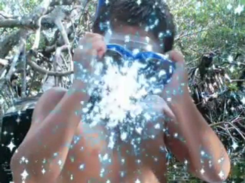 ANCHORAGE RESORT WATERFRONT CONDO RENTALS KEY LARGO