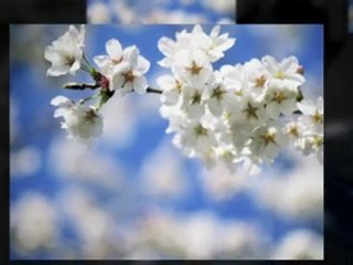 Favored and Blessed of the Lord Luke 1 Meditation