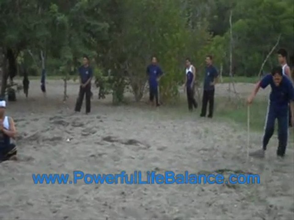 ATTACKER AGAINST PSYCHIC FORCE FIELD BUILD BY ENERGY MEDITA