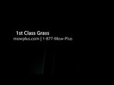 Naples Lawn Care Service | 1st Class Grass | (239) 465-4752