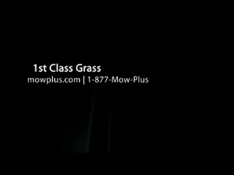 Naples Lawn Care Service | 1st Class Grass | (239) 465-4752