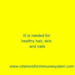 Vitamins For Immune System 14