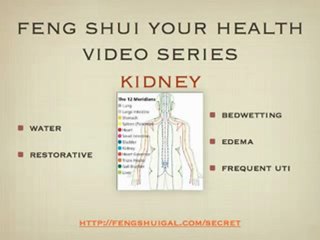 Feng Shui Your Health Video Series: Kidney