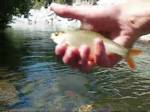 PECHE A LA MOUCHE voyage corse acte1 HD