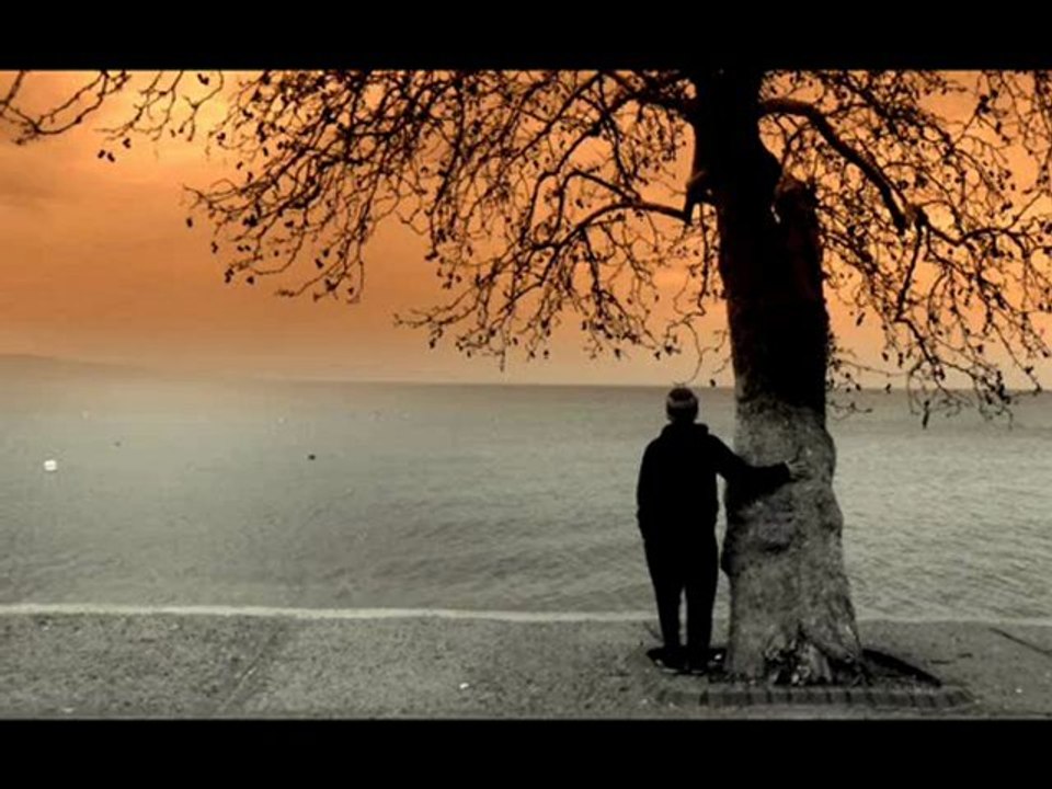 Sezen Aksu-Son Bakış